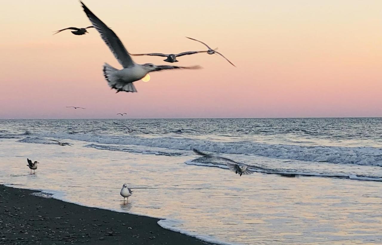 Huge Ocean Front Condo, Amazing Views Myrtle Beach Buitenkant foto